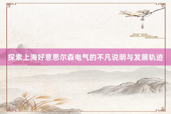 探索上海好意思尔森电气的不凡说明与发展轨迹